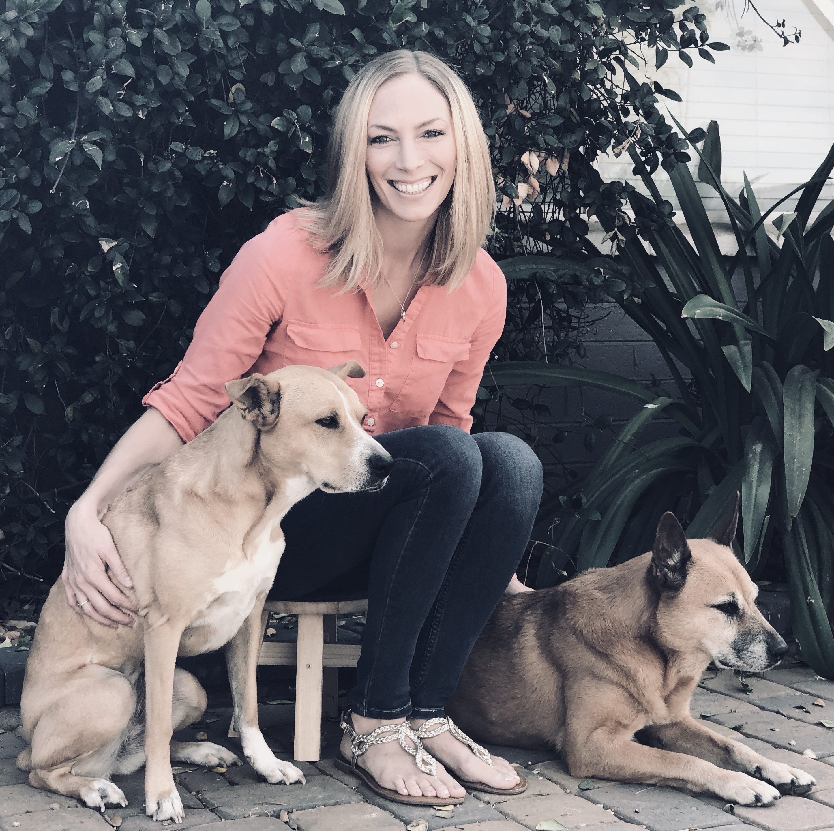 Author, Blogger, travel with dogs